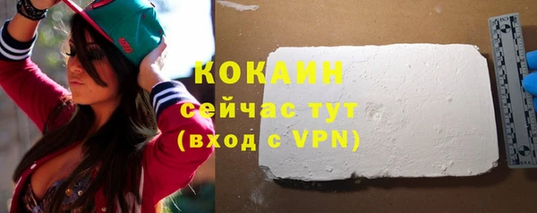 шишки Богородск