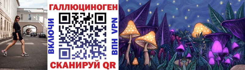 Галлюциногенные грибы Magic Shrooms  Сковородино 